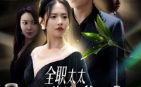 《全职太太的逆袭（80集）》高清短剧在线追更
