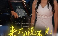 《来不及说再见（30集）》短剧精彩剧情一次看过瘾
