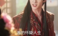 《奉旨嫁权臣，携手定朝堂（13集）》免费短剧高清播放