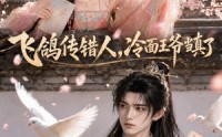 《飞鸽传错人，冷面王爷当真了（33集）》在线免费短剧全集赏