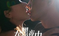 《在黑夜中相遇（32集）》短剧完整版免费畅享