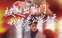 《被赶出家门我被老公宠上天（61集）》免费短剧全集畅快追