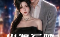 《小源军师（19集）》免费短剧在线随心看