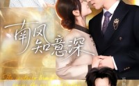 《南风知意深（40集）》优质短剧在线免费追剧