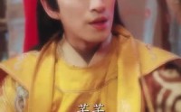《双生花落又逢君（66集）》高清短剧全集在线解锁