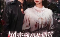 《网恋到恐怖BOSS逃跑被亲哭（67集）》爆款短剧免费在线追剧