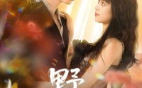 《野焰（60集）》爆款短剧免费畅享观看