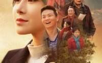 《凤凰归乡（33集）》优选短剧全集回顾