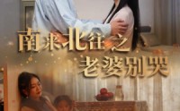 《南来北往之老婆别哭（87集）》情感短剧深度解析在线
