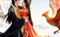 《凤女灼华（41集）》精彩短剧免费畅享观看