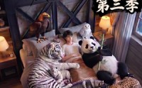 《完了，这破农场来的全是祖宗！第三季（100集）》精彩短剧全集免费看
