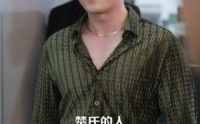 《我靠薅公司羊毛走上巅峰（84集）》免费高清短剧在线追