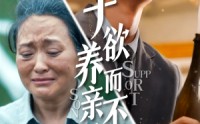 《子欲养而亲不待（42集）》孝心短剧全集不容错过