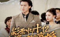 《彩票中了十亿老婆要和我离婚（100集）》高清短剧在线一睹为快