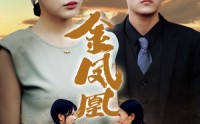 《金凤凰（80集）》匠心短剧全集在线收藏
