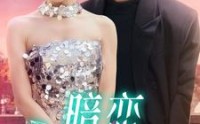 《暗恋回响（100集）》高清短剧全集畅享