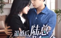 《退婚后，陆总每天求复合（71集）》独家短剧资源一站式观看