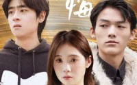 《迟爱无悔（65集）》完整短剧剧情回顾