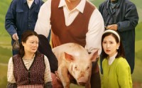 《我教村民养猪仔（30集）》最新短剧全集免费在线看完整版