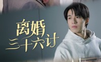 《离婚三十六计（96集）》短剧全集免费流畅播放