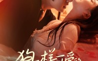 《狗一样可爱的老板（63集）》热门短剧免费全集畅看
