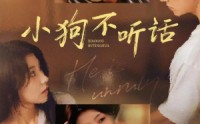 《小狗不听话（70集）》短剧全集免费在线畅享