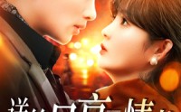 《送给月亮的情书（133集）》精品短剧在线观看