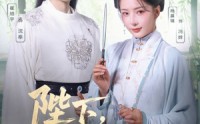 《陛下臣妾的刀又快了些（70集）》热门短剧在线高清观看