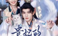 《贵妃的白猫夫君（81集）》精彩短剧在线无广告观看
