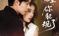 《霍先生你犯规了（80集）》优质短剧免费全集速览