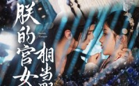 《朕的宫女相当野（62集）》热门短剧免费畅观