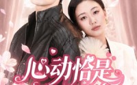 《心动恰是相逢时（80集）》热门短剧全集畅快追