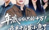 《年底分红只给10万！我单干后发小急了（47集）》精彩短剧全集免费速看