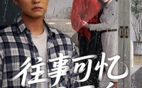 《往事可忆不可追（31集）》热门短剧全集免费畅享