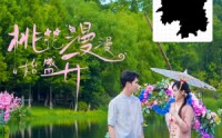 《桃花漫漫始盛开》（40集）唯美短剧尽情看