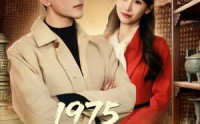 《1975古董黄金年代奋斗史（80集）》热门短剧全集放送