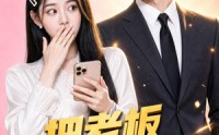 《把老板当亲哥竟一路开挂（41集）》短剧全集高清在线播放