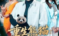 《重生熊猫：开局太极拳震惊全球（70集）》超火短剧全集免费畅享