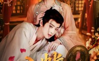 《入帐不低眉（84集）》爆款短剧全集在线速看