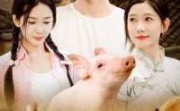《开局一头猪我在荒年养全家（65集）》荒年短剧免费全集速看