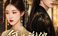 《何必谢他误芳华（57集）》短剧全集在线免费点播