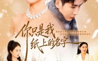 《你只是我纸上的名字（68集）》精彩短剧全集在线赏鉴