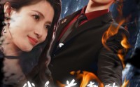 《我和前妻的爱恨情仇（85集）》高清短剧全集畅享