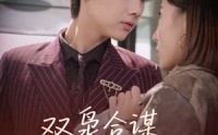 《双枭合谋暗夜破晓（30集）》短剧完整版免费在线赏
