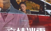 《亲情迷雾（30集）》热门短剧免费全集畅享
