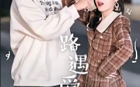 《路遇爱情（12集）》短剧全集免费畅享观看