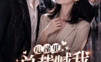 《电梯里，总裁喊我老婆（76集）》必看短剧完整版在线追