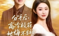 《分手后高冷校花她悔不当初（43集）》高清短剧全集在线观看