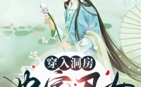 《穿入洞房农家丑女要翻身（100集）》爆款短剧全集免费点播