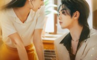 《四野如火（79集）》优质短剧无广告在线看
